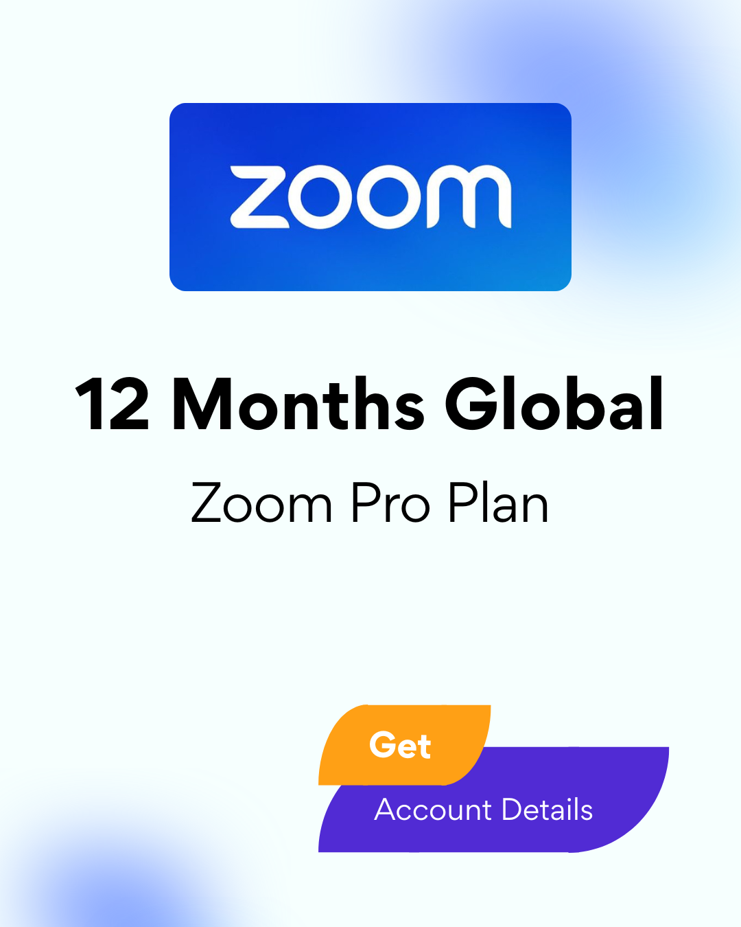 Zoom Pro Plan 12 Months Global - Account Details