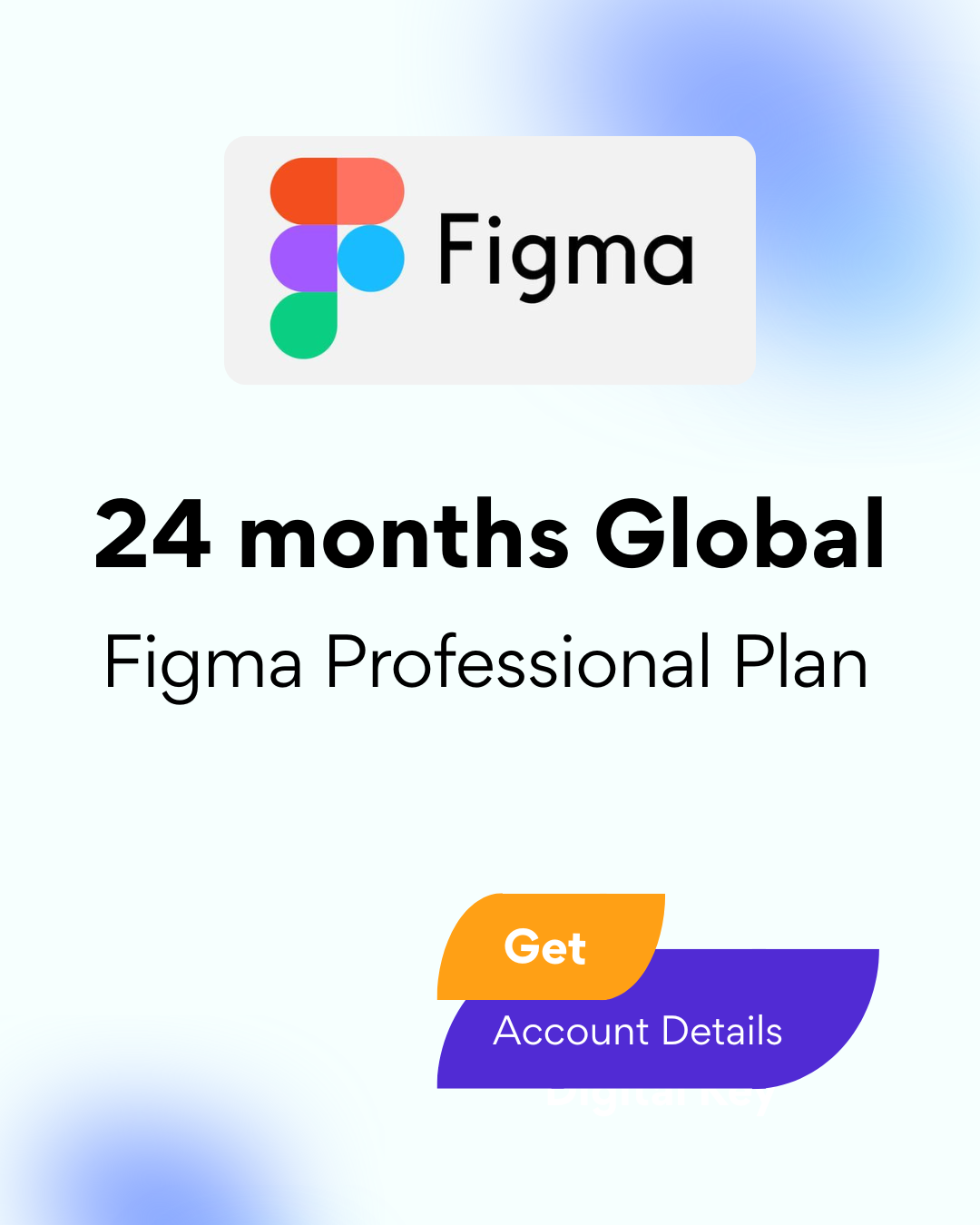 Figma Professional Plan 24 Months Global - Account Details
