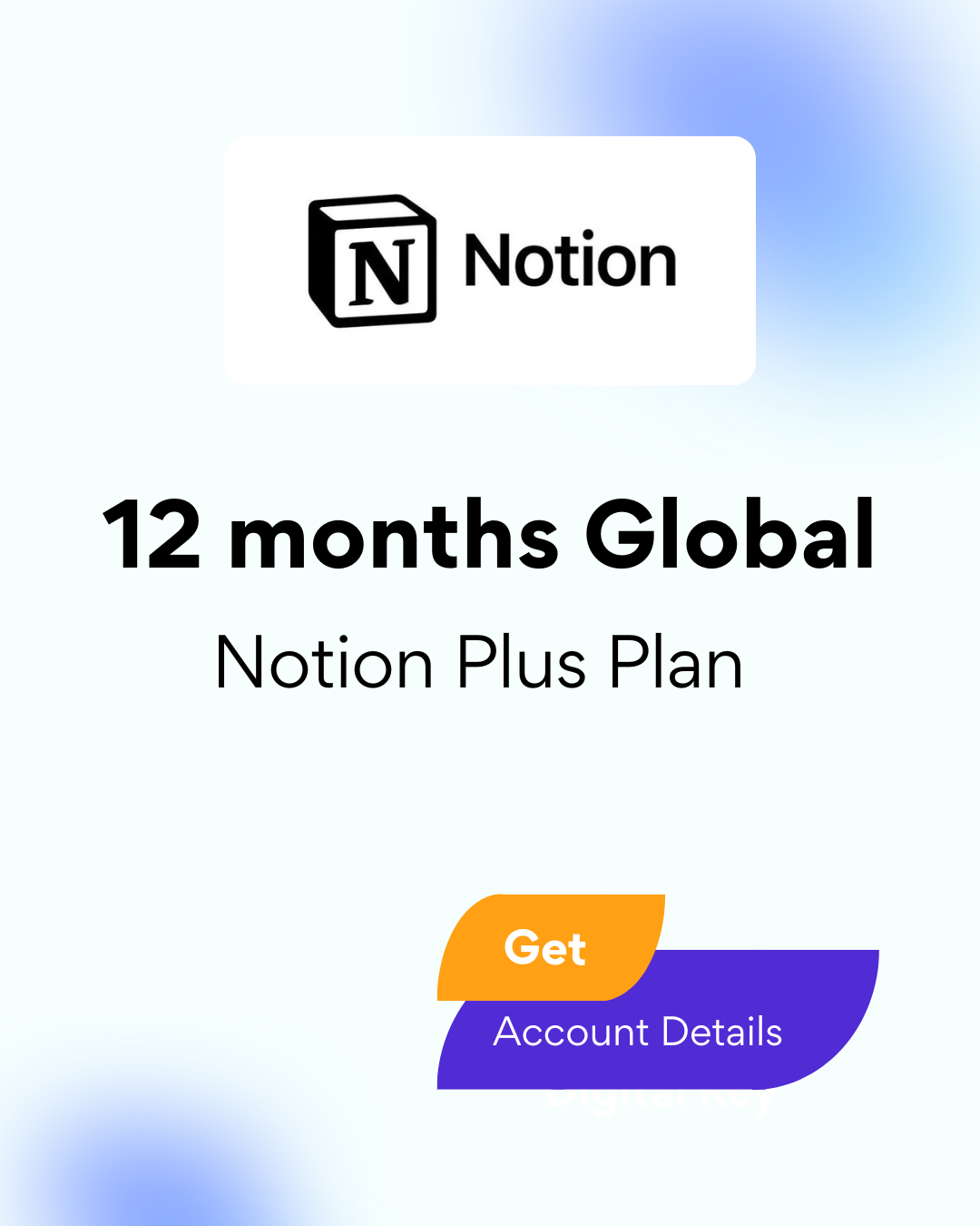Notion Plus Plan 12 Months Global - Account Details