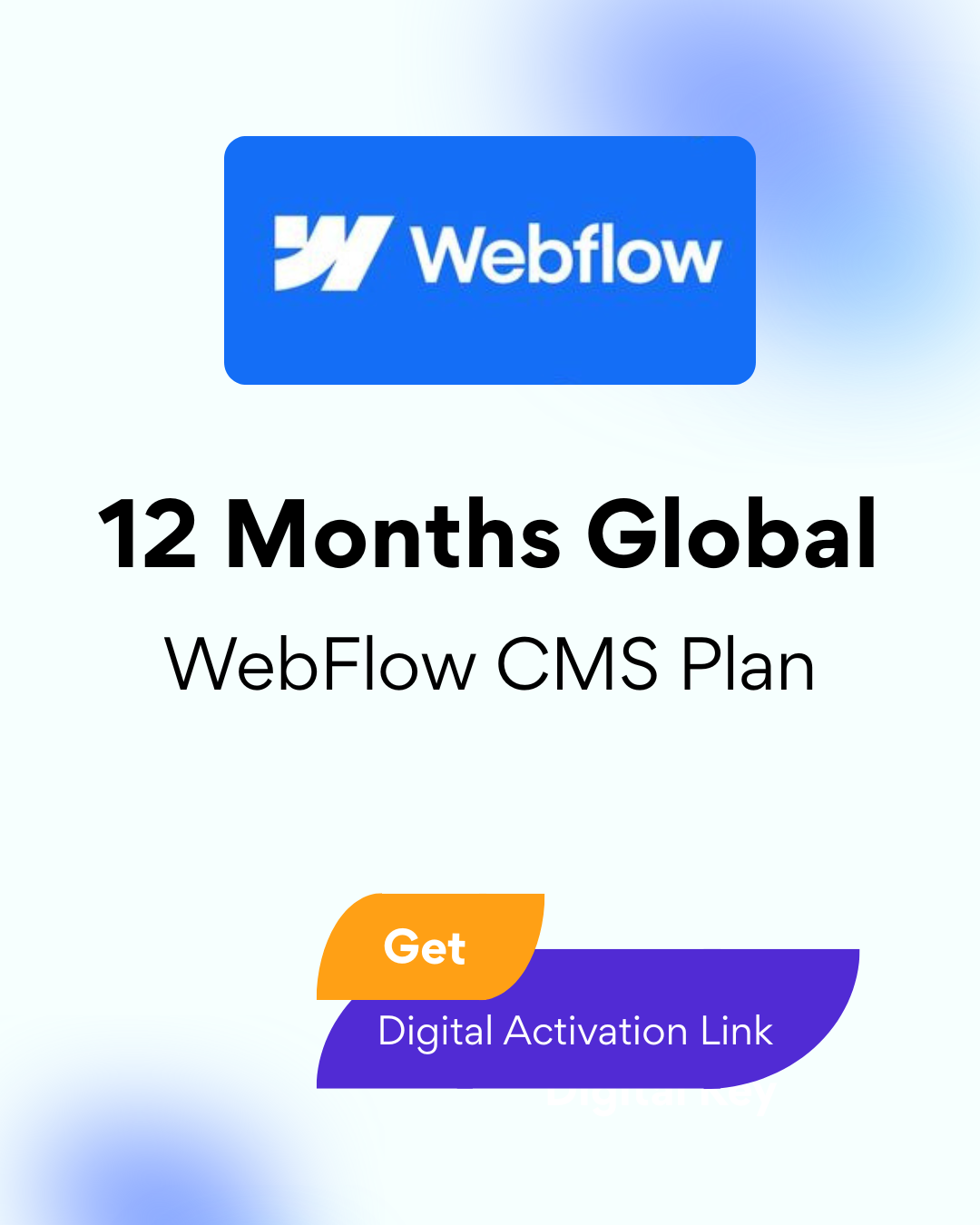 WebFlow CMS Plan 12 Months Global - Digital Activation Key