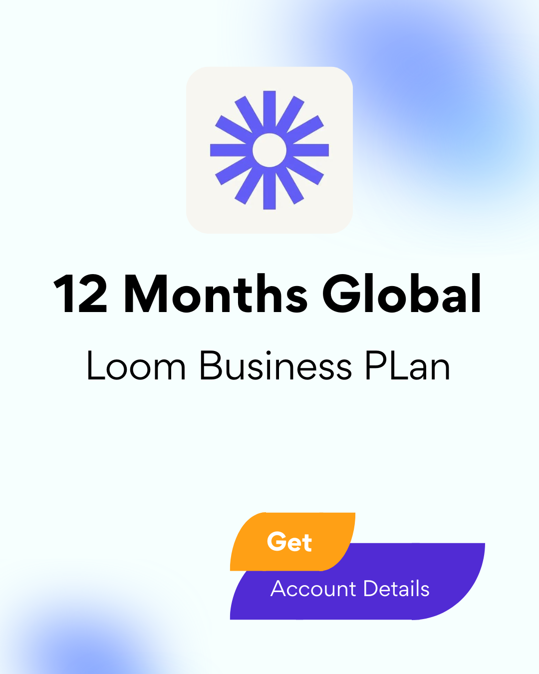 Loom Business Plan 12 Months Global - Account Details