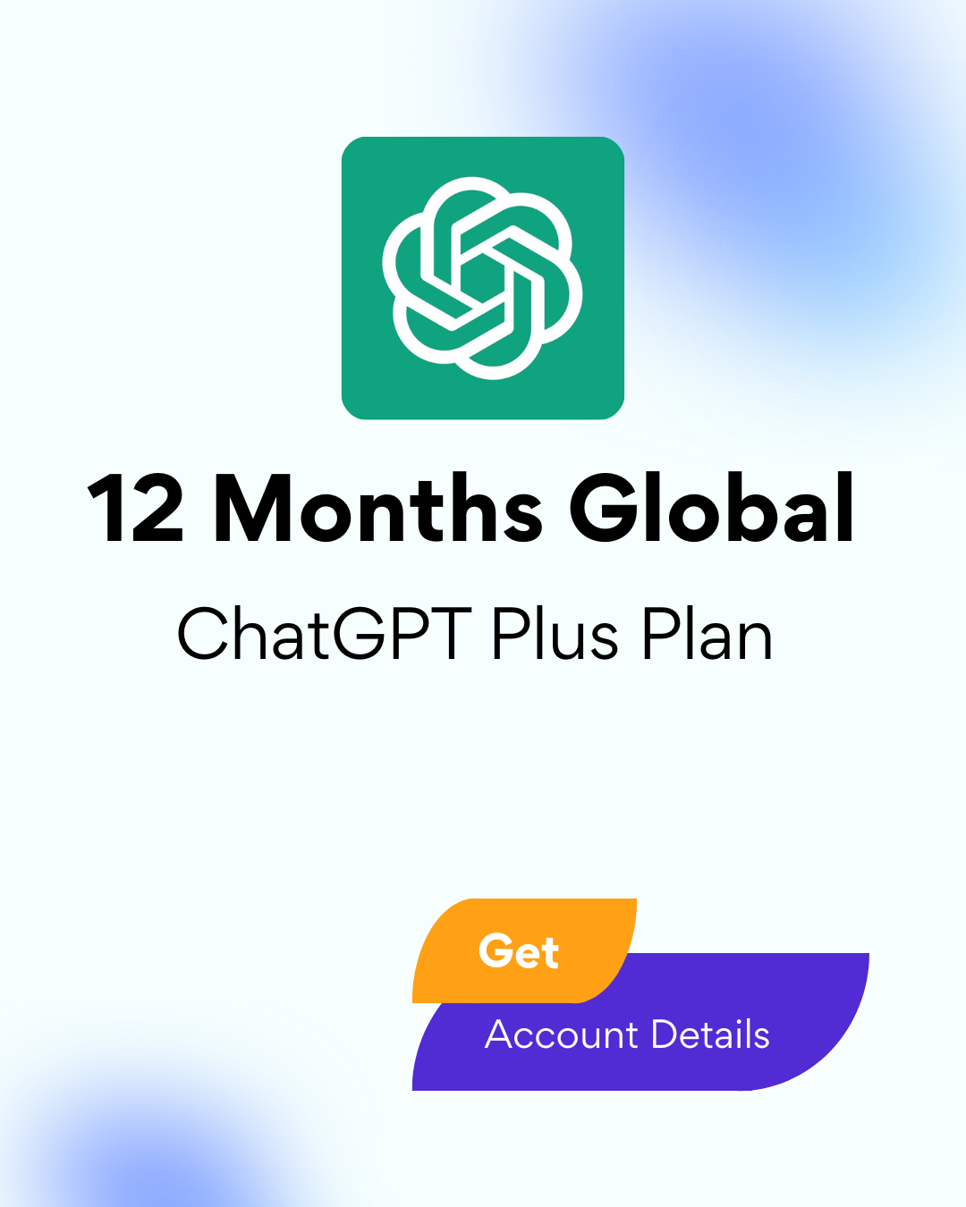 ChatGPT Plus Plan 12 Months Global - Account Details
