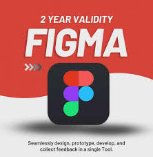 Figma Professional – 2 Years Account